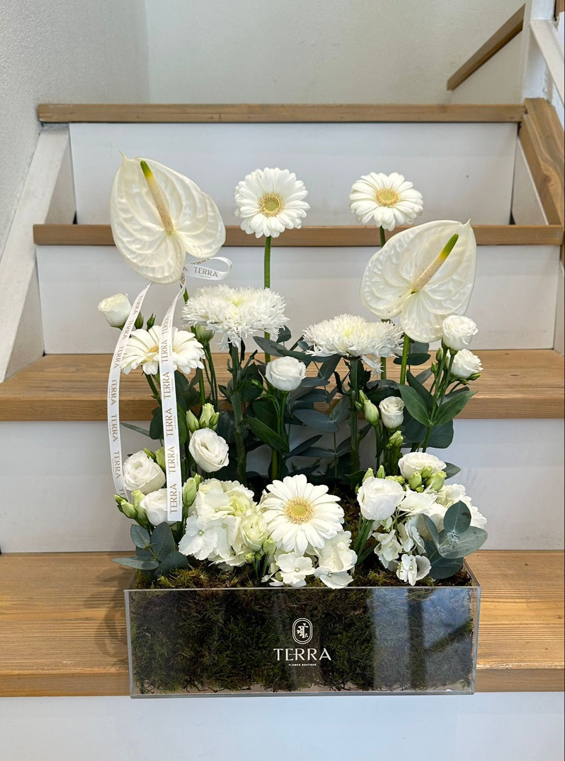 Terra Acrylic Small 14