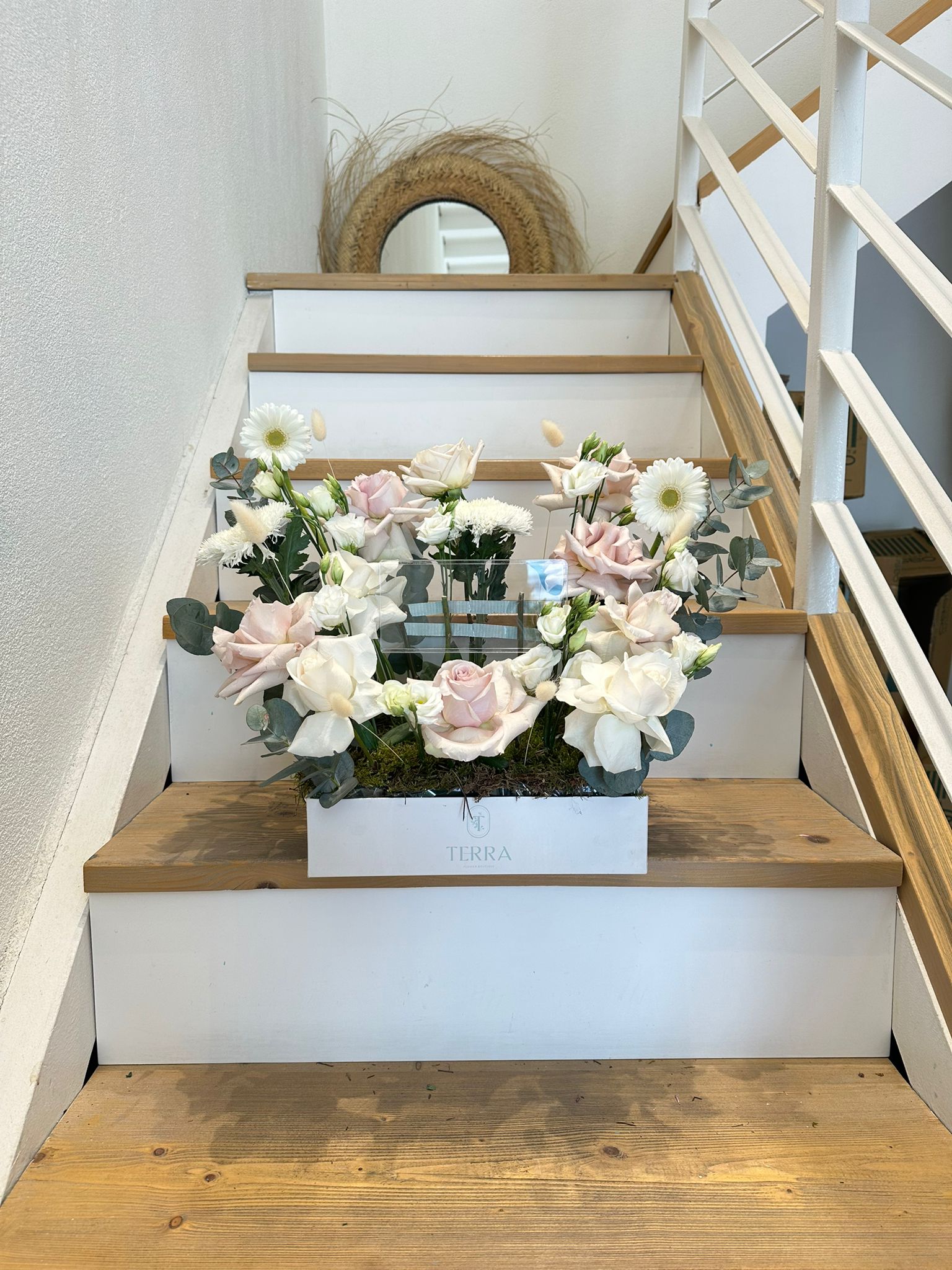 Terra Box Arrangement 1