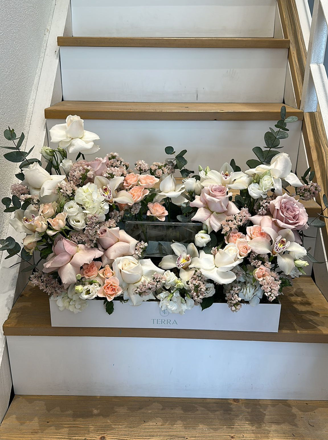 Terra Box Arrangement 2