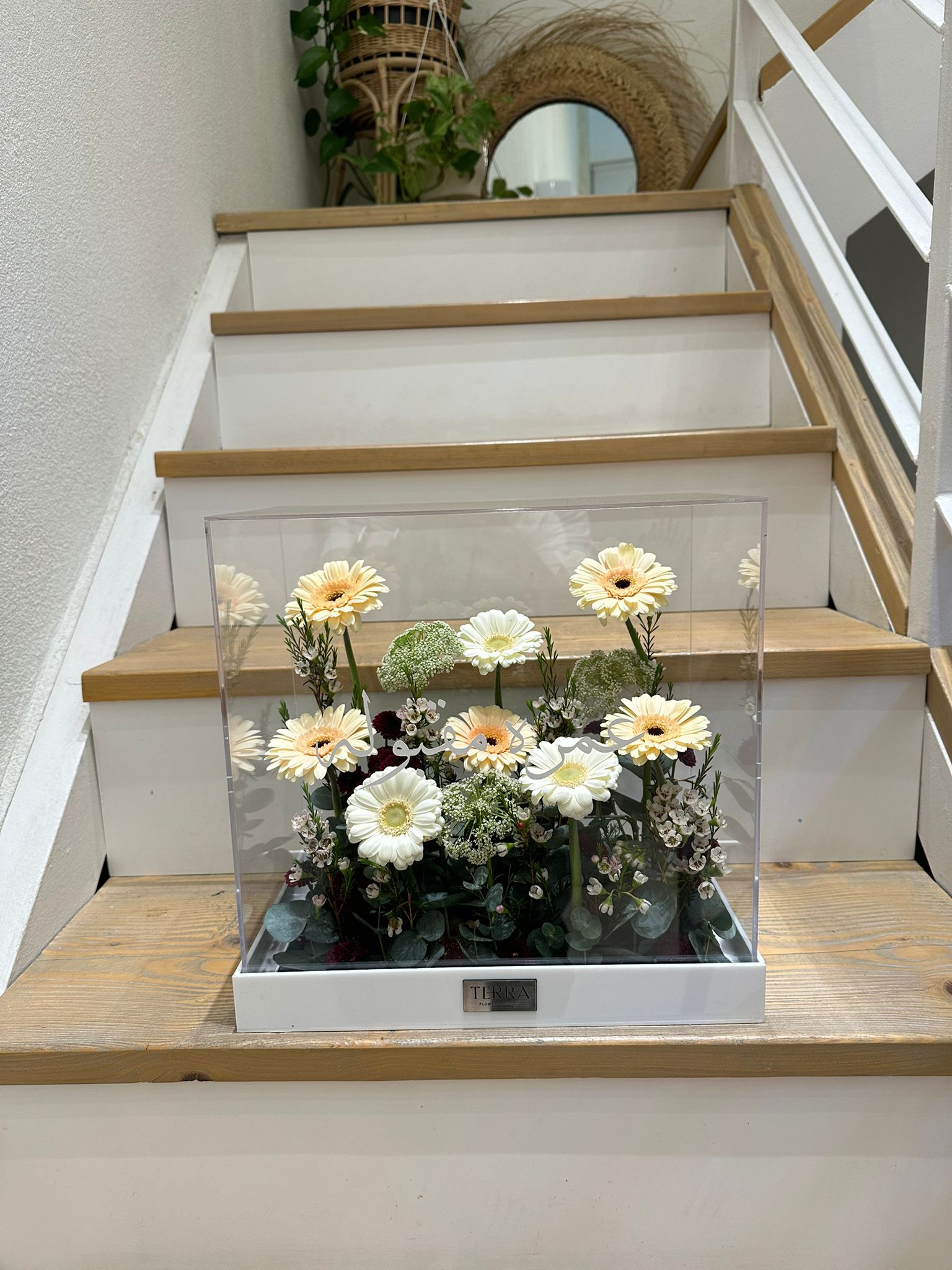 Terra Acrylic Small 8